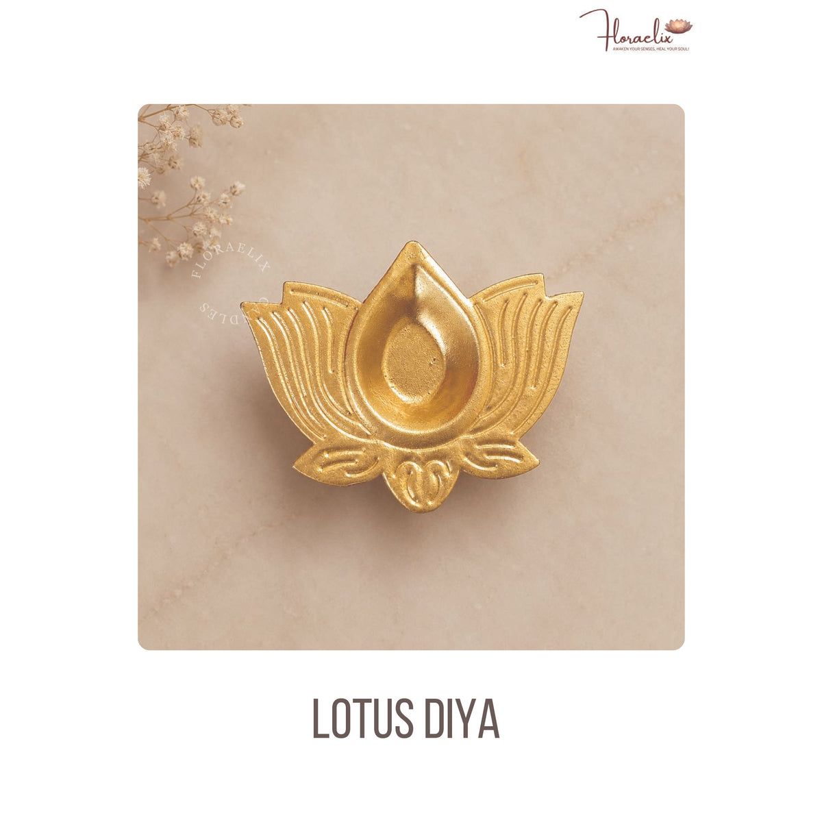 Floraelix - Lotus Diya