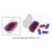 Set of 20 Paper Clips with Box - B 31