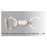 Thumb Up Key Ring With Opener - J36