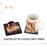 Wooden Coaster Set Of 4 Plates Matt Finish - JP 75